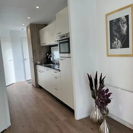 Alpesi faház Moderne Met Airco In *